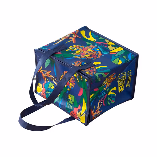PP Non Woven Bag Factory Custom Eco Friendly Bag Waterproof Thermal Non Woven Insulated Grocery Reusable Ice Bag Shopping Bag Lunch Cooler Bag